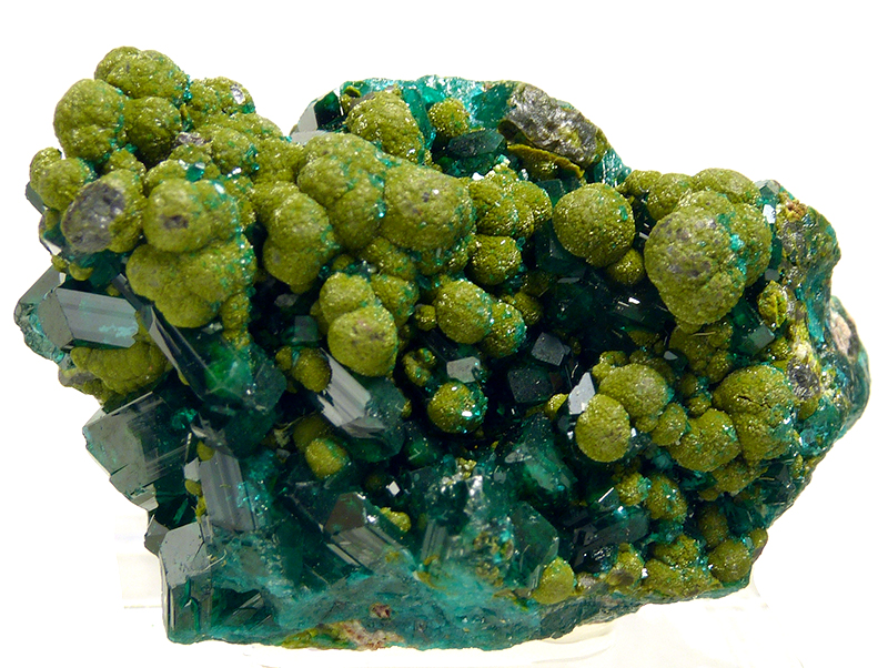 Dioptase with Mimetite store & Duftite from Congo , 58 mm