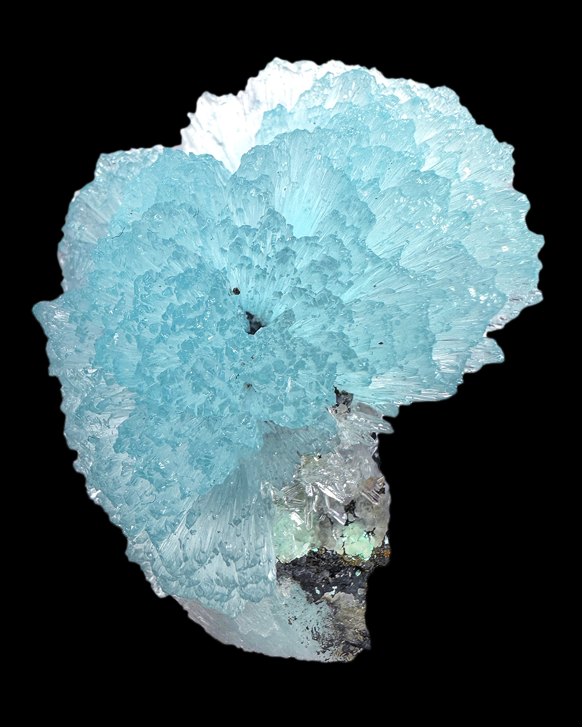 Beautiful Blue Aragonite 2024 Specimen