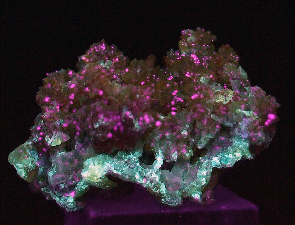 Multicolor Gemmy Zincite Cluster outlets